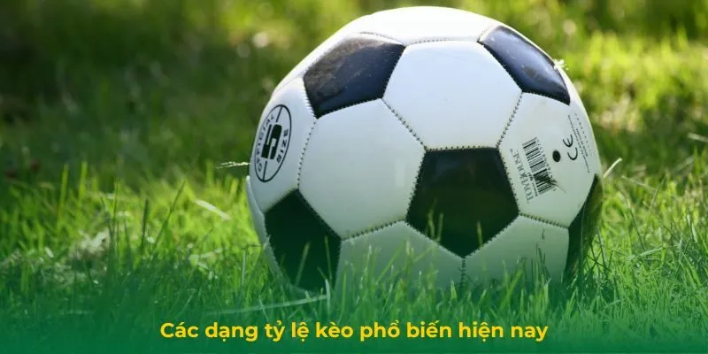 Các dạng tỷ lệ kèo phổ biến hiện nay