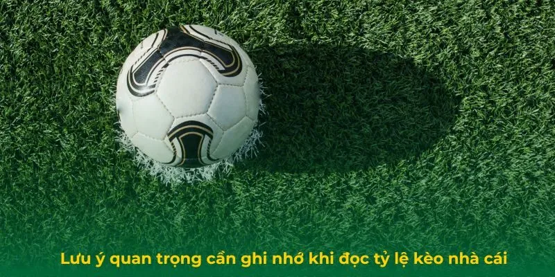 Lưu ý quan trọng cần ghi nhớ khi đọc tỷ lệ kèo nhà cái