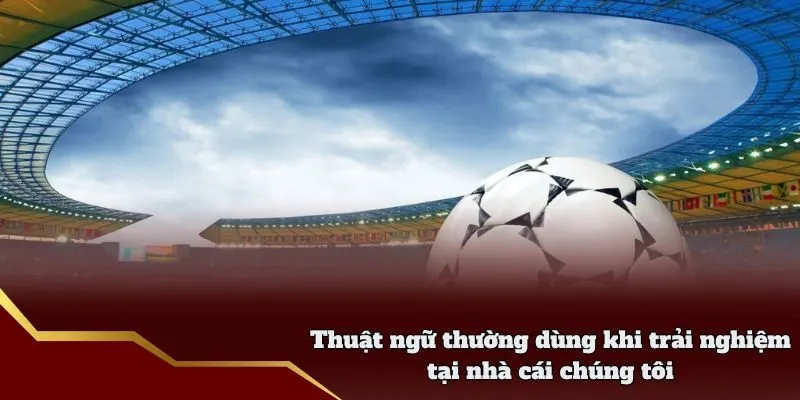 Thuật ngữ thường dùng khi trải nghiệm tại nhà cái chúng tôi